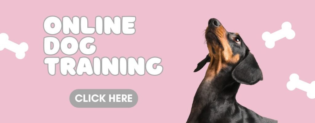 Online Dog Obedience Training